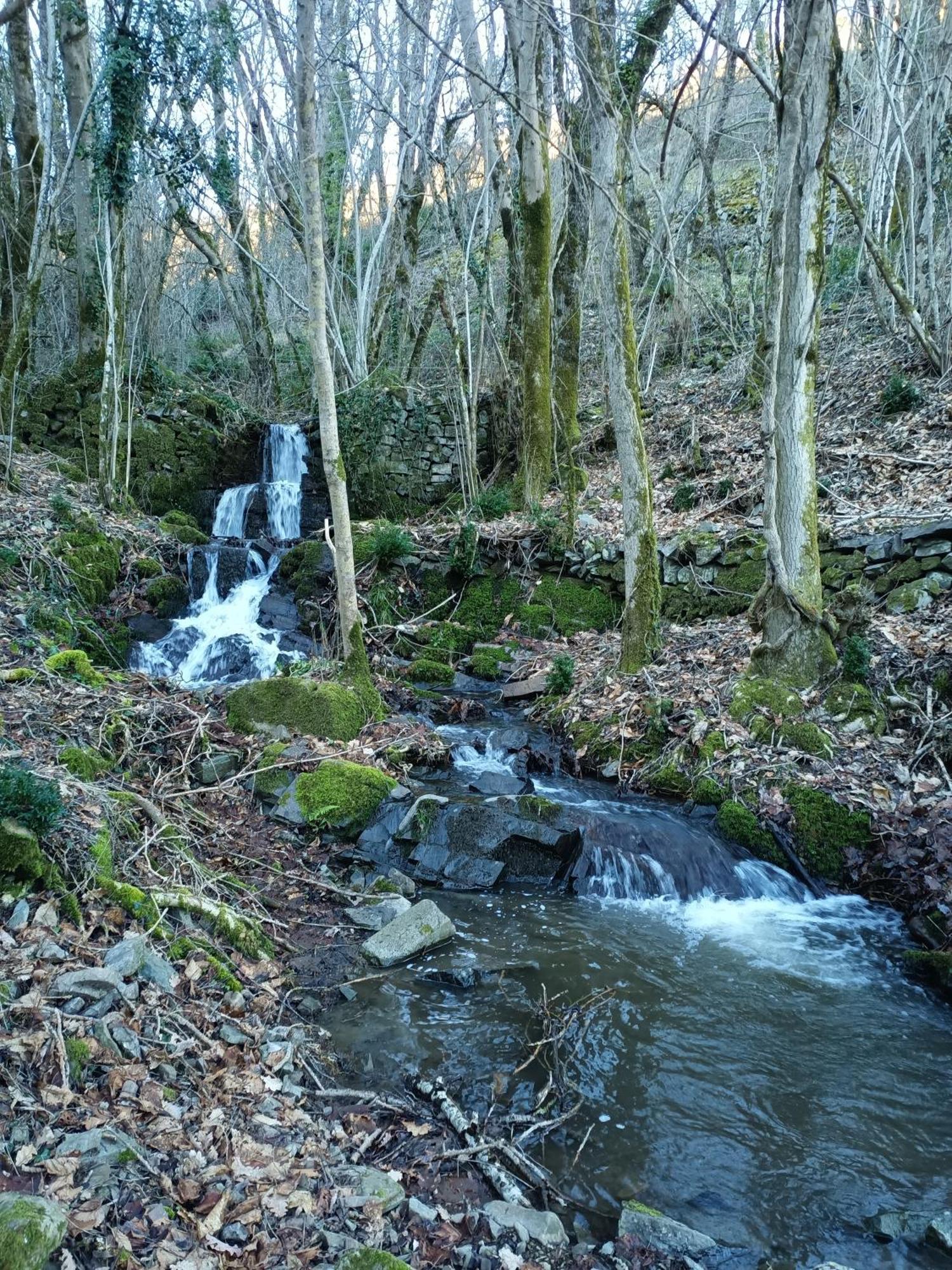 Ferme Les Therondels Saint-Pons-de-Thomieres Extérieur photo
