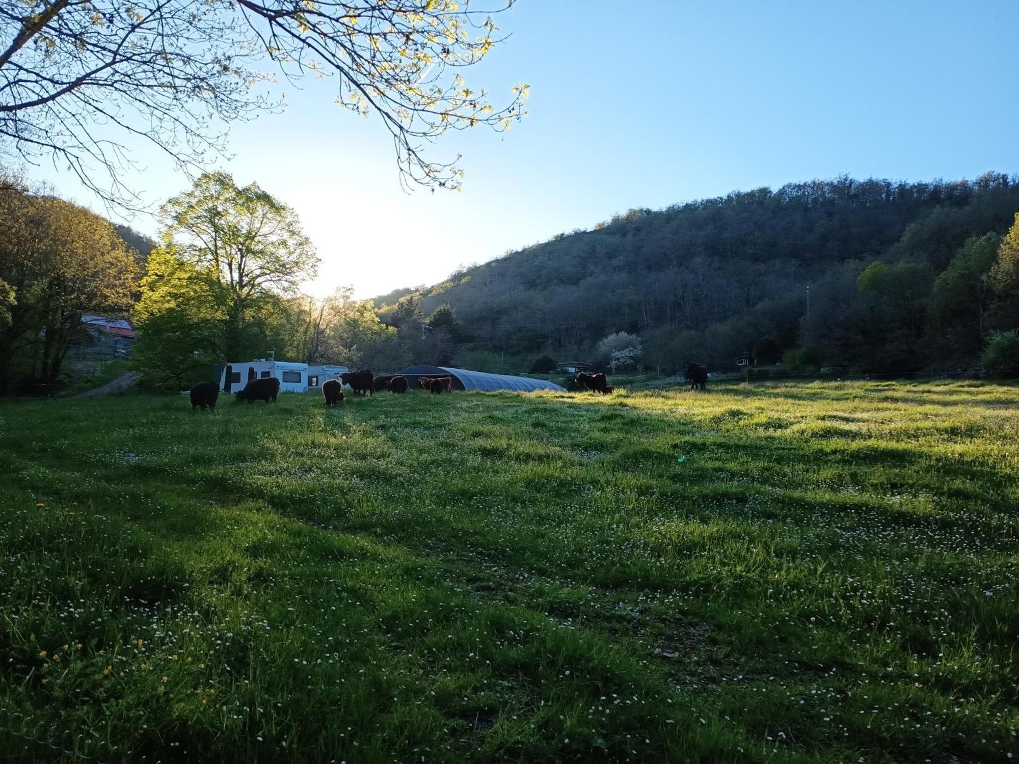 Ferme Les Therondels Saint-Pons-de-Thomieres Extérieur photo